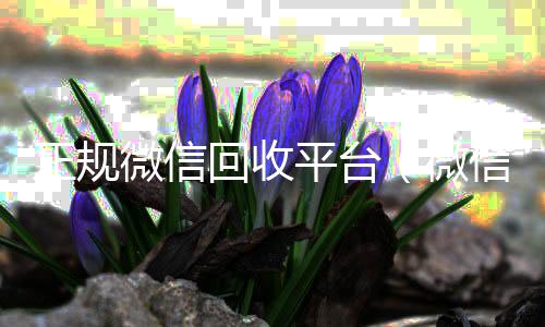 正规微信回收收购微信号平台（微信回收正规官网）
